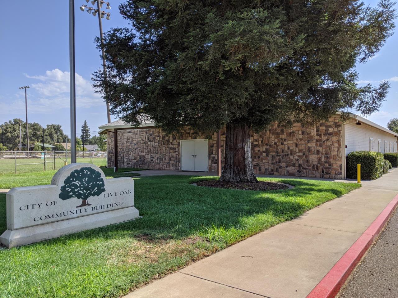 MVIMG_20200727_105101 - Copy